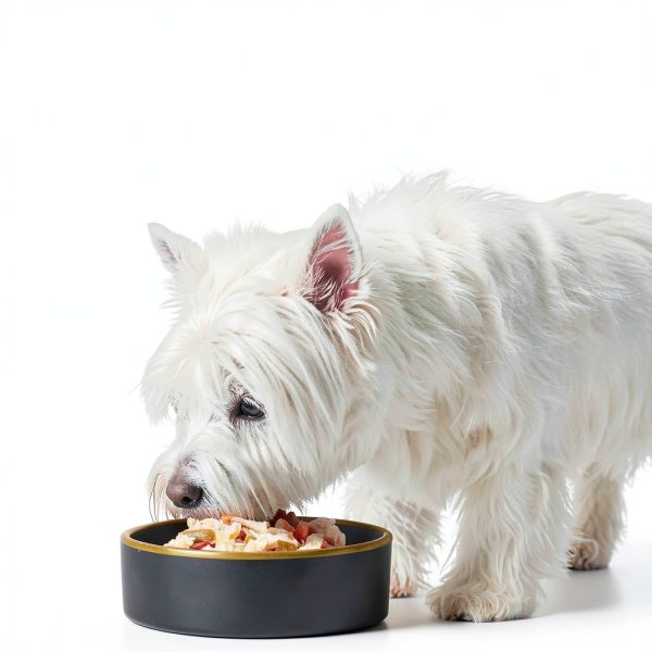 Cesar Dog Food Topper Real Chicken Vegetables Wet Complement-2