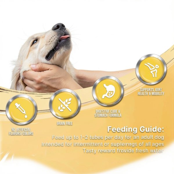 PWR Dog Food Pouches Beef Chicken Apple Lickable Treats-3
