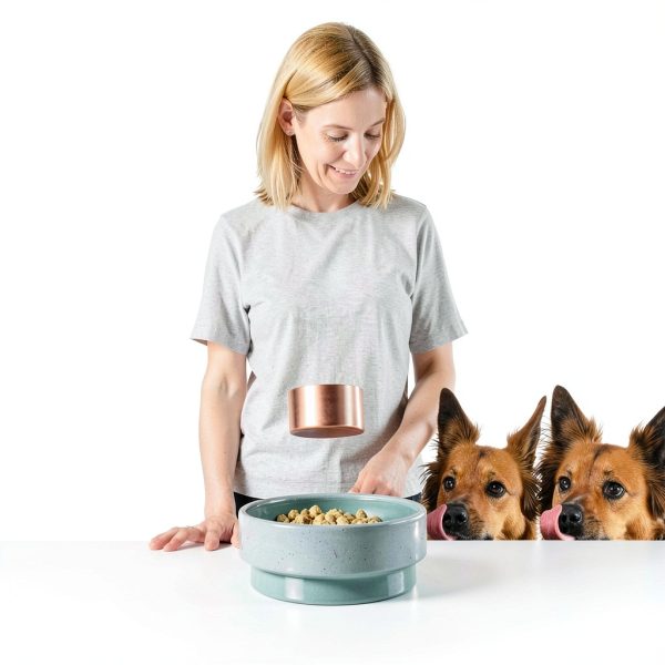Honest Kitchen Wet Dog Food Cage Free Turkey Human Grade-2