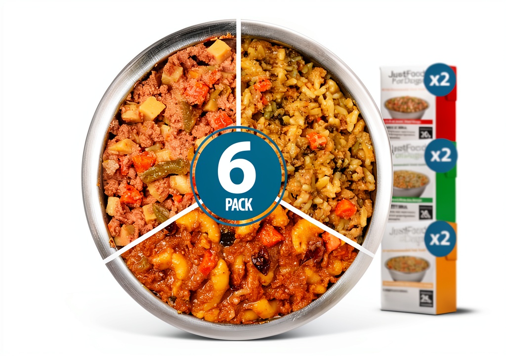 Fresh dog food variety pack displayed on a kitchen counter