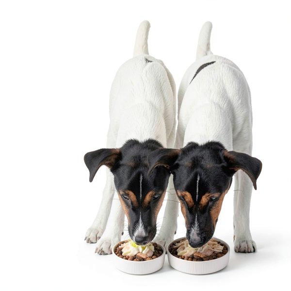 Blue Buffalo Tender Shreds Dog Food Toppers-6