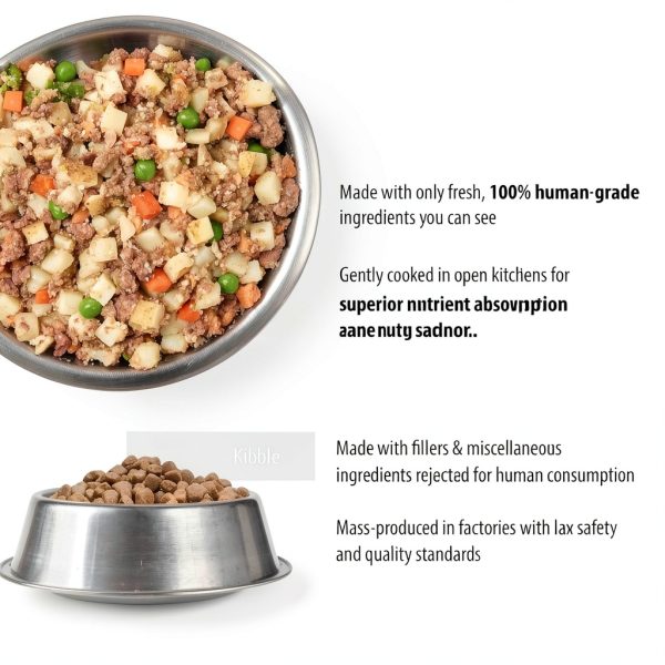 JustFoodForDogs Fresh Dog Food Variety Pack 12.5oz-3